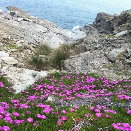 Isola D'elba In Barca, A Un Tuffo Dal Mare Capoliveri (Isola d'Elba)